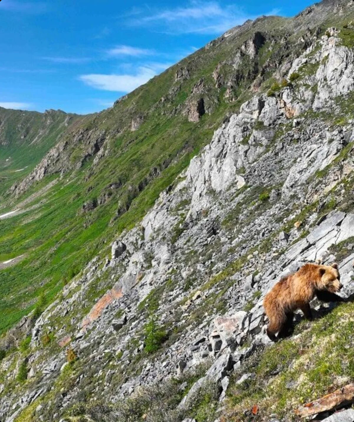 Mongolei – Das Tal der Bären | © ARTE