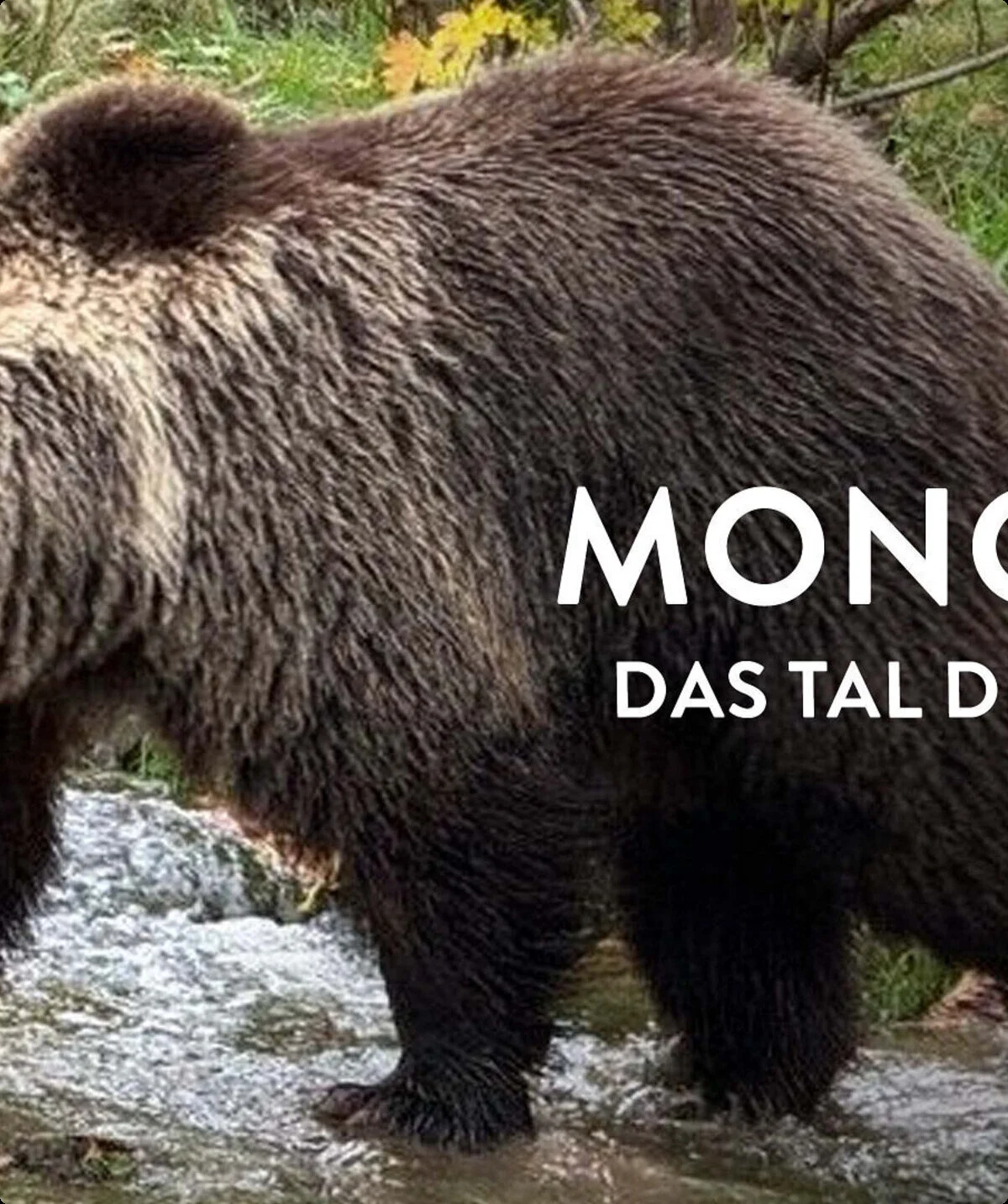 Mongolei – Das Tal der Bären | © ARTE
